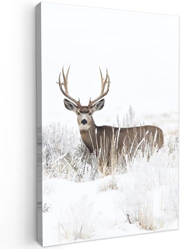 MuchoWow© Leinwand Deko Schlafzimmer Aesthetic Leinwandbilder Wohnzimmer | 40x60 cm - Gemälde Foto Geschenk Living Room Decoration Hirsch Bild - Rotwild - Reh - Winter - Schnee - Tiere - Weiß