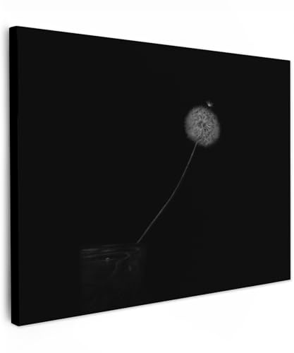 MuchoWow© Leinwandbild 40x30 cm Dekoration Wohnzimmer Bilder Aufhängen Wall Decoration Living Room Wohnungs Deko Moderne Wanddeko Schwarz - Schwarze Leinwand - Löwenzahn - Pusteblume
