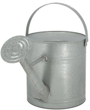 Esschert Design Riego de zinc antiguo con sistema de recolección de agua