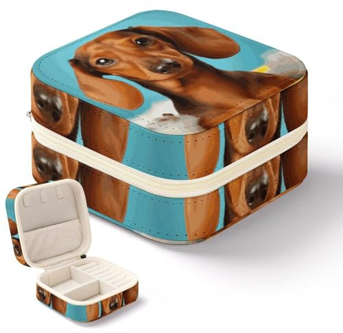 DWTJKMS Reise-Schmuckkoffer mit Dackel-Motiv, Mini-Schmuckhalter, Organizer, Box, multifunktionale Schmuckschatulle für Ringe, Ohrringe, Halsketten, Armreifen, Geschenke für Frauen