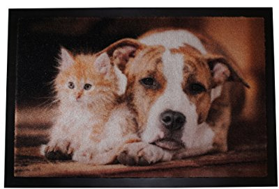Rutschfeste Fußmatte innen - Hund & Katze Design 40 x 60 cm (Rechteckig) | Hochwertige Schmutzfangmatte Innenbereich Eingangsmatte waschbar Türmatte Eingangsbereich langlebig Sauberlauf pflegeleicht