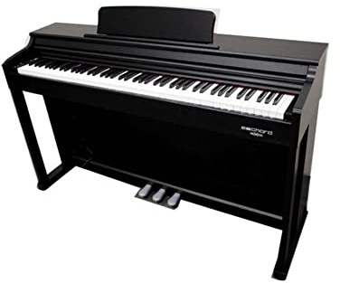 ECHORD - DPX100 Black - DS55270