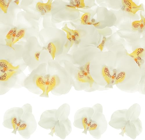 M METERXITY 20-Pack Artificial Orchid Flower Heads, Silk Faux Butterfly Flowers Head for Wedding/Bouquet/Bridal/Party Decor, Fake Phalaenopsis Petals Bulk [3.54 Inch, White Yellow]