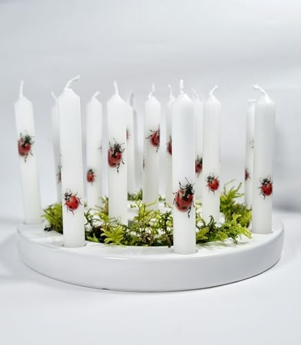 GLOWYBOX® Geburtstagskerzen für Deko Geburtstagstisch Kerzen Kinderzug Geburtstag Tischdeko Zug Kind Geburtstagskerzen Baby Kleinkind Kindergeburtstag Kerzen Marienkäfer