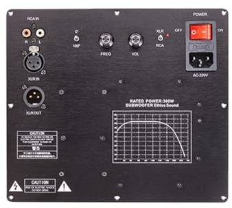 Sessleger TPA3255 Subwoofer - Amplificador de altavoz activo digital para sistemas de audio domésticos