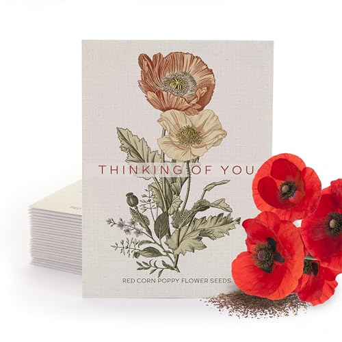 Bentley Classic Vintage Art Poppy Packets, Thinking of You Flanders Corn Seeds, Thoughtful Illustrated Flower Design, Eco-Friendly Hand Out, Sentimental Gift, 25 Pack