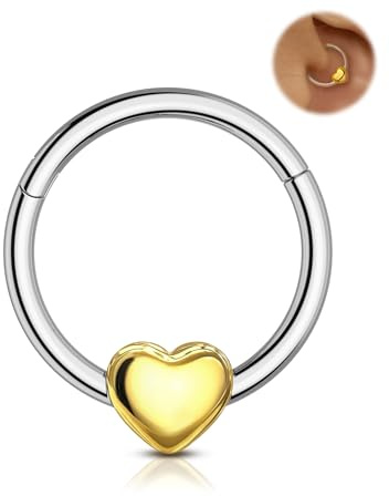 Agrewd 16G Liebe Herz Septum Piercing Schmuck 316L Edelstahl Septum Schmuck Scharnier Segment Nase Daith Helix Piercing Schmuck 8mm/10mm Daith Helix Ohrringe für Frauen