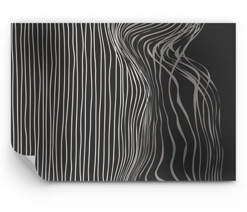 ARTTOR Papier Peint Panoramique Standard - Abstraction Rayures Noir Et Blanc - 100x70 cm - Revêtement mural décoration Moderne Décoration Wallpaper Muraux Photo Salon Chambre - WF1AA100x70-4152