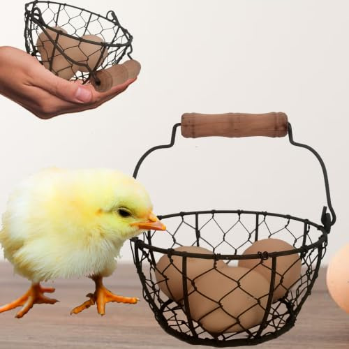 TAIANLE.Small Wire Egg Collecting Basket with Handle,Mini Metal Easter Quail Hunt Egg Basket for Gathering Fresh Egg,Round Farmhouse Vintage Countertop Holder,2 PCS | Wooden Handle Rustic Wire Organizer for Gathering Fresh Eggs in Chicken Coop, Vintage Kitchen Countertop & Easter Decor