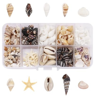 Aohyue 200+ Piezas Conchas de Mar Decoracion, Caracolas y Estrellas de Mar Naturales, Conchas para Manualidades, para Decorar Fiestas Temáticas de Playa, Relleno de Peceras y Jarrones