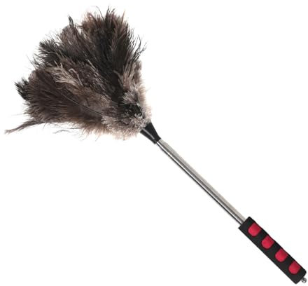 UKCOCO Plumero Extensible Esponjoso de Plumas Mango Plata