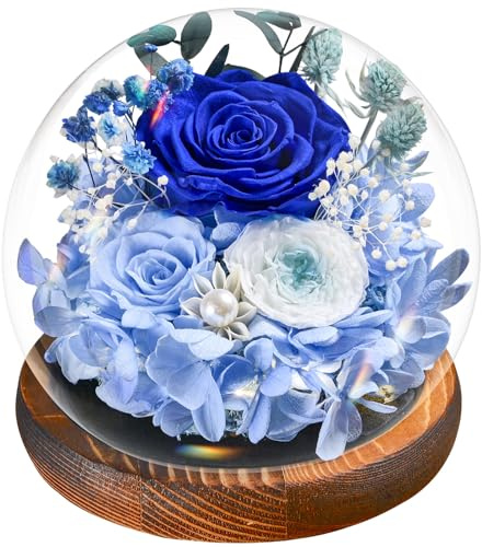 Muttertagsgeschenk für Frauen | Ewige Infinity Blaue Rosen im Glas mit Licht | Konservierte Blumen Mit Geschenkbox | Für Frauen, Mama, Oma, Freundin | Zum Valentinstag, Muttertag–Deko & Geschenk​