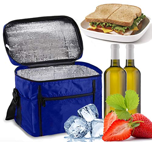 Sinwind Kühltasche Faltbar, 10L für Picknick, Blau, Kapazität ca. 5-8 L, Wasserdichte, Polyester