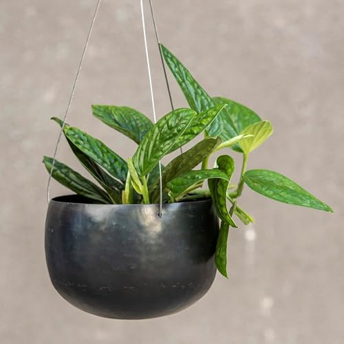 Crocus Collection 20cm Metal Hanging Basket Planter Indoor Flower Pot for Trailing Foliage Plants Hammered Steel