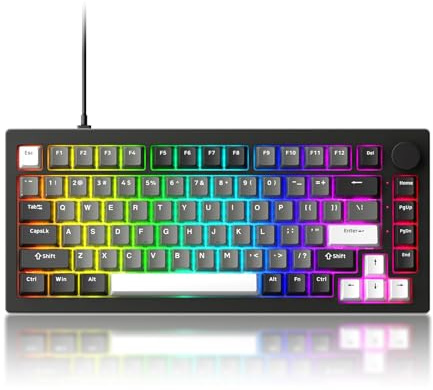 Akko Tastiera meccanica cablata 5075 V3, tastiera da gioco QWERTY al 75% con montaggio a guarnizione, retroilluminazione RGB, interruttori rosa ghiaccio sostituibili a caldo, nero e argento