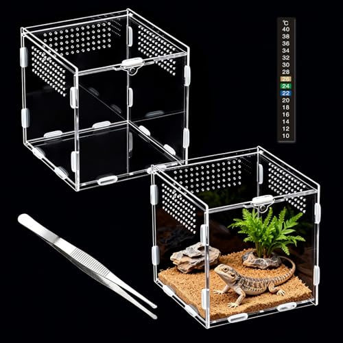 QingWing Acryl Terrarium 15x15x15cm Terrarium Schnecken mit Thermometer | Atmungsaktiv Reptilienzuchtkoffer Kunststoff Zuchtfall mit Pinzettefür Spide Eidechse Skorpion Tausendfüßler