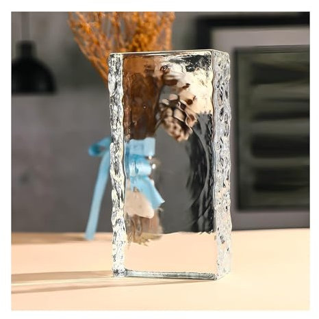 DXZXDJIU Multifunktionale klare Glasbausteine ​​– rechteckige Sichtschutzblöcke for Zuhause, Badezimmer und Schlafzimmer(1pcs)