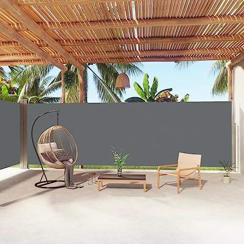 vidaXL Tenda da Sole Laterale Retrattile Antracite 200x1000 cm