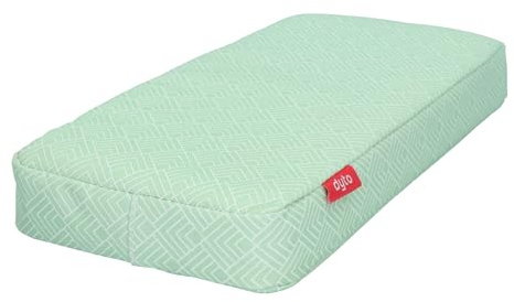Dresco Unisex – vuxen mintgrön pakethållare kudde, en storlek