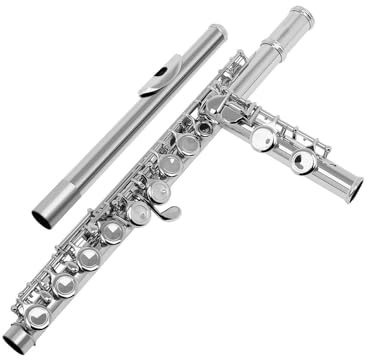 Flauto traverso flauto per principianti Strumento musicale da concerto per flauto traverso professionale con chiave C a 16 fori aperti chiusi