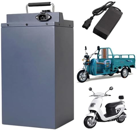 FREEDOH Batería de Litio para Triciclo de 60V, 15Ah, 20Ah, 25Ah, 30Ah, 35Ah, 40Ah, 45Ah, 50Ah, 55Ah, 60Ah, 65Ah, para Motor de Motocicleta de 200-3900W con Cargador.,60v15ah