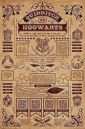 Harry Potter Poster Quidditch at Hogwarts (61cm x 91,5cm) + weiße Geschenkverpackung. Verschenkfertig!