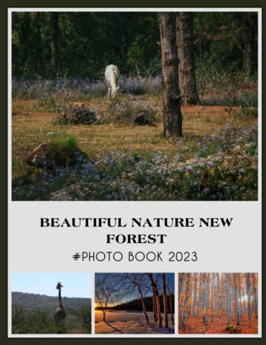 Beautiful Nature New Forest Photography Book: 2023 Photo Book Of Beautiful Nature New Forest With 30+ Photos, Photobook Christmas Gift For Men Women Dad Mom, Picture Book For Photos 2023