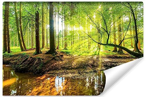 Muralo Selbstklbnde Fototapete 460x300 Wohnzimmer WALD Bäume Fluss in 3D Moderne Tapete Gästezimmer Schlafzimmer Wandbilder Wandtapete Wandtattoo XXL Br. 460cm x Hö. 300cm [SK12]