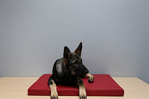 Beckers Beste Tiernahrung - Hundebett für kleine und Grosse Hunde aus Kunstleder in rot 120cm x 80cm x 5cm - Hundekissen rutschfest und waschbar - Für Auto, Hundebox oder als Hundematte für Zuhause