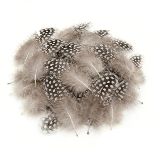 Fesnova 50 Stück Federn Perlhuhn, 4-8cm Federn Basteln, DIY Grau Bastelfedern, für Bastelarbeiten, Traumfänger, Kopfschmuck, Schmuckdekoration, Hochzeit Dekoration