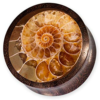 Fly Style Piercing Ohr Tunnel Plug - Ohr Piercings - Ammoniten Earplug Holz Horn