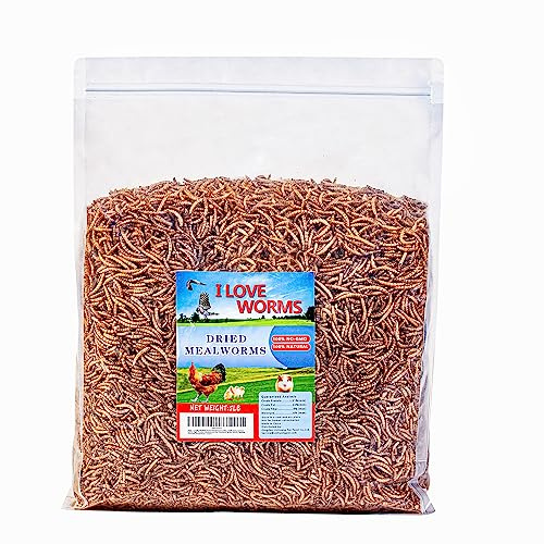 I LOVE WORMS Vermi secchi (2,3 kg), mangime per uccelli selvatici, vermi ricchi di proteine per uccelli azzurri, polli, anatre, rettili, tartarughe, anfibi, lucertole