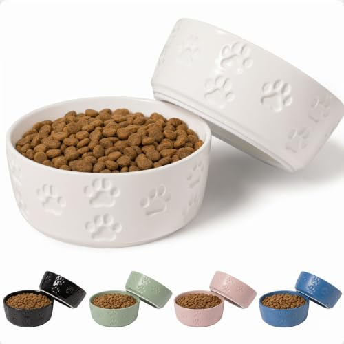 Keramik-Hundenapf-Set mit Anti-Rutsch-Ringen – 12,7 cm rund x 5,1 cm hoch, Set mit 2 Keramik-Hundenäpfen für kleine Hunde – kleine Hundenäpfe – Hundefutter und Wassernapf – weiße Hundenäpfe –