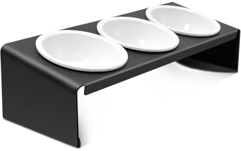 Lannvan Katzennapf Erhöht - 3er Set Futternapf Katze aus Keramik mit Metall Ständer - 15° gekippte Futterstation Katzen Hundenapf - Fressnapf und Wassernapf für Katzen und kleine Hunde