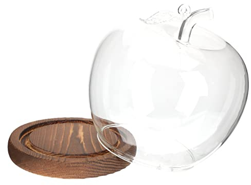 PRETYZOOM 2pcs Dome Cover for Garden Glass Plant Cloche Decorative Flower Adornment Craft Glass Dome Storage Lid