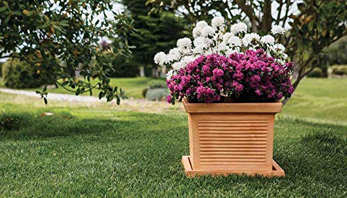 MONACIS Vaso Cassa Quadro MILLERIGHE 50 48X48H 35