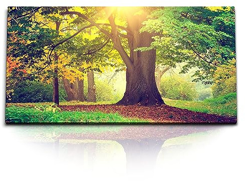 Paul Sinus Kunstdruck Bilder 120x60cm Große Eiche Baum Wald Sonnenstrahl Natur Grün