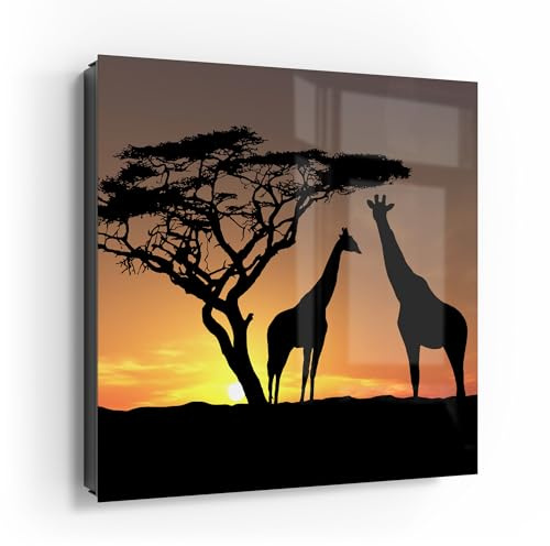 DEQORI Schlüsselkasten schwarz | 30x30 cm | Motiv Afrikanische Eleganz | Glas & Metall Schlüssel-Box | Schlüsselschrank mit 50 Haken + 2 Magnete | Moderne Box magnetisch & beschreibbar