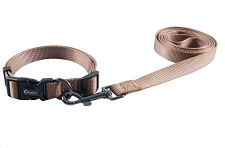 Olahibi Basic Hundehalsband und Leine, Kombi-Set, strapazierfähiges Nylon-Halsband und 150 cm passende Leine für mittelgroße Hunde (Größe M, Braun)
