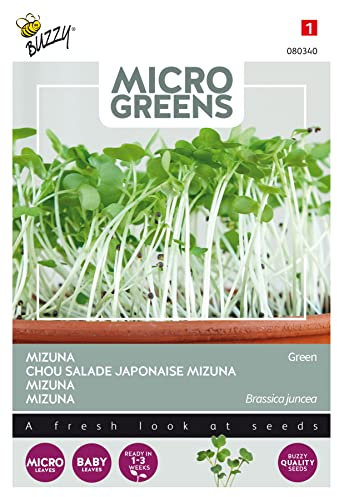 Buzzy Microgreens, Mizuna Green Seeds