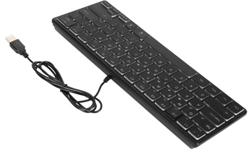 ciciglow Clavier de Jeu Portable rétroéclairé RVB avec Fonctionnement Silencieux, Petit Clavier Filaire USB Compact à 64 Touches pour Ordinateur Portable, Design Ergonomique