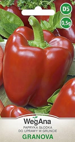 WegAna Pimentón Granova Semillas 0,5g Variedad Dulce Rojo Robusto Semillas de Hortalizas Semillas de Cultivo para Macetas de Invernadero Semillas de Pimiento de Patio