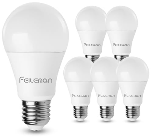 FEILEMAN Glühbirne E27 LED Kaltweiß 15W Leuchtmittel Birne Lampe 6500K 2000 Lumen Super Hell (Equivalent 120W) A60 E27 Ultrahell LED Birne Energiesparend,Nicht Dimmbar,6 Stück