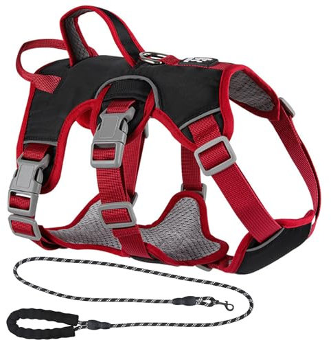 Amexo Mehrzweck-Hundegeschirr mit Leine Set, Reflektierendes Hundegeschirr, Ausbruchsicher Anti Zug Hundegeschirr, Sicherheitsgeschirr Hund, Hundegeschirr Hunde für Kleine Mittelgroße Hunde(Schwarz,M)