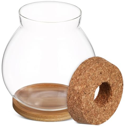 SEWOART Petit Aquarium Décoratif en Verre avec Couvercle pour Aquarium Betta Terrarium pour Plantes Décoration De Bureau Ou De Maison
