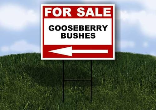 GOOSEBERRY BUSHES For Sale White Red Black Left Arrow 1 Single Sided 18x24 in Yard Road Sign w/Stand
