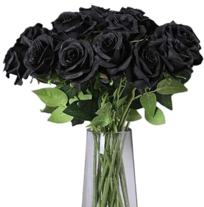 TILONKJ 12 Pièces Roses Artificielles Noires à Longue Tige,Rose en Plastique D'aspect Très Réaliste,pour Mariage Gothique,Festival de Musique,Fête d'halloween,Enterrement(Noir)