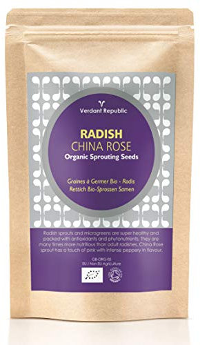 Verdant Republic Organic Radish China Rose Sprouting Microgreen Seeds 250g | Non GMO Healthy Superfood |Easy to Sprout | High Germination