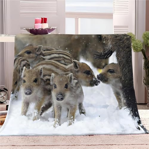 okoikfc Coperta Pile 150 x 200 cm Cinghiale Coperta 3D Animale Coperte per Adulti/Matrimoniale, Plaid Pile in Flanella Morbida Caldo per Letto e Divano k1438