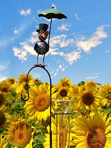 Pommerntraum ® | Regenmesser Niederschlagsmesser Pluviometer Rostoptik Prof. Dr. Rabe mit Regenschirm + Meisenknödelhalter - tolle Gartendekoration (grüner Schirm)